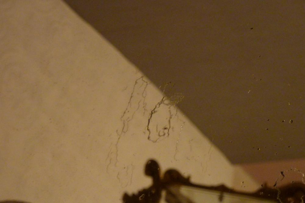 Foxing on an antique mirror.